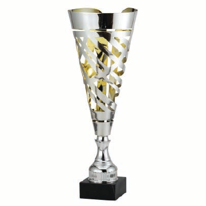Silver/Gold Cutout Cup