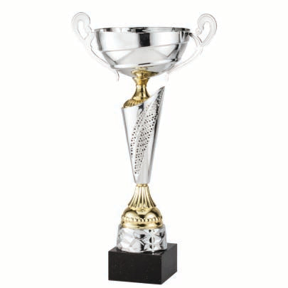 Silver Cup with Gold Accents