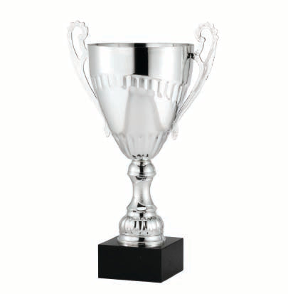 Silver Loving Cup