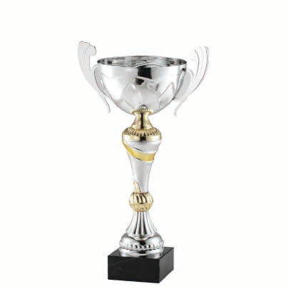 Silver Cup with Gold Accents