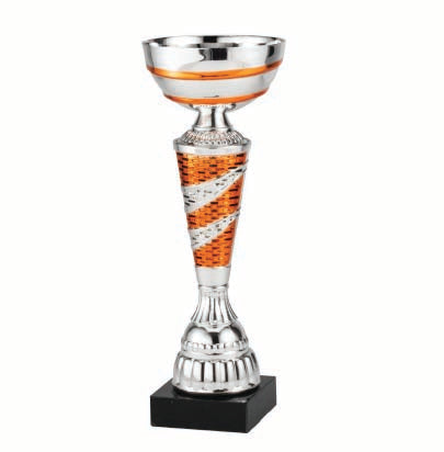 Copper Stripes on Silver Cup