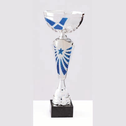 Silver Cup with Blue Star and Strips
